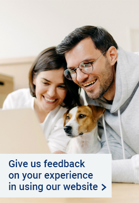 Website customer satisfaction survey