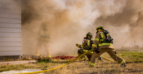 Bushfire survival plan